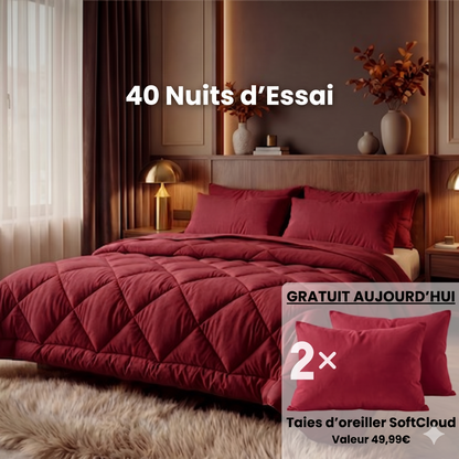 Couette 2 en 1 qui élimine le besoin de draps