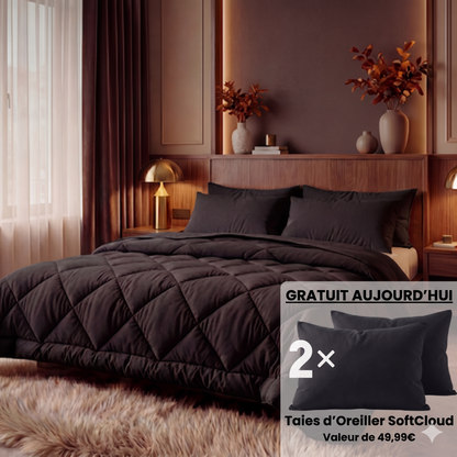 Couette 2 en 1 qui élimine le besoin de draps